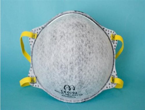 FP2SLOVw FFP2 Disposable Particulate Respirator